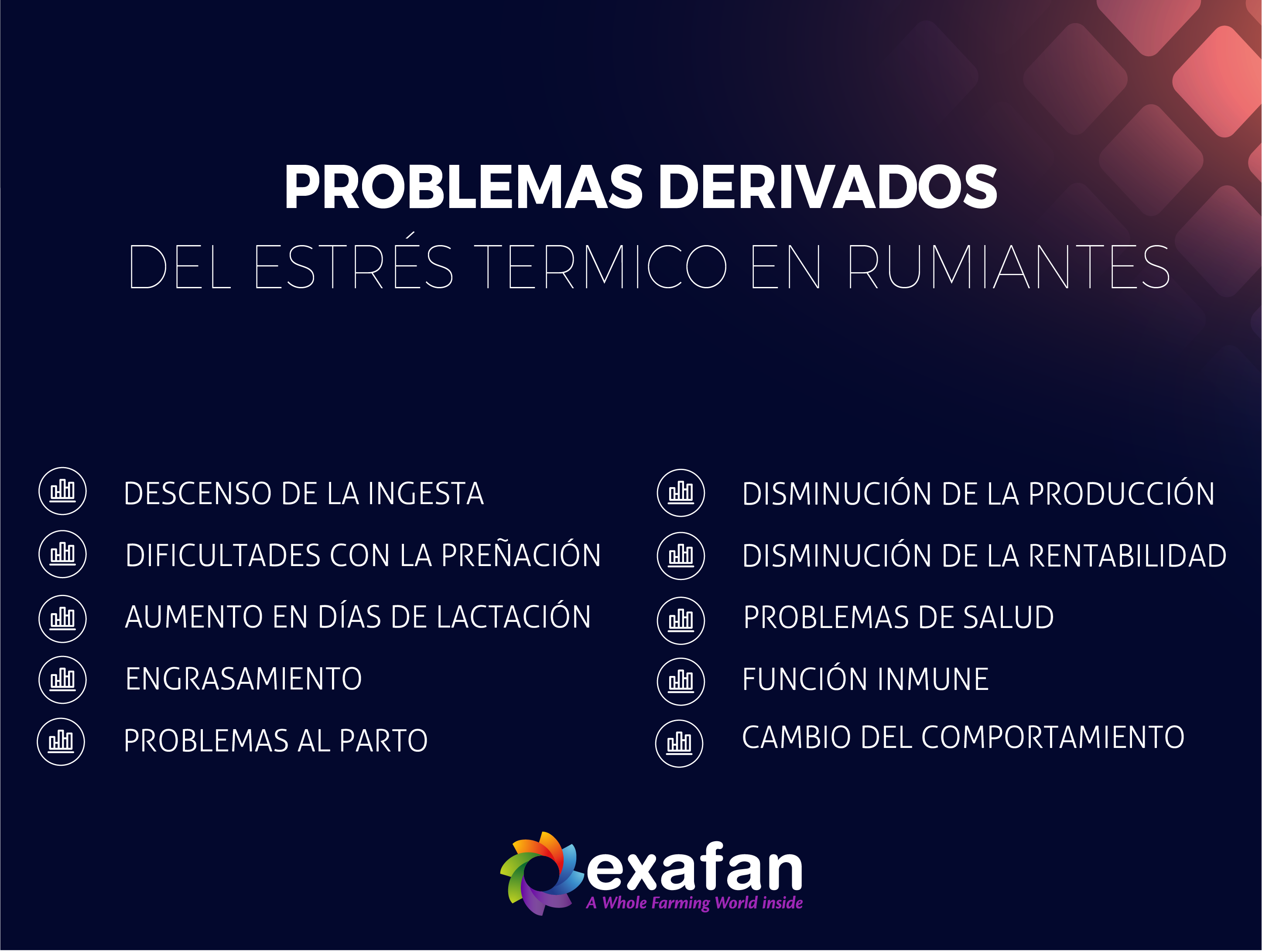 Esta imagen se ha eliminado. Por razones de seguridad, sólo se permiten imágenes de dominio local. Imagen eliminada.