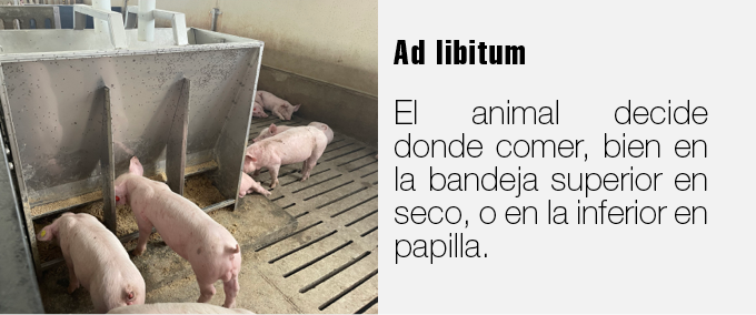 Esta imagen se ha eliminado. Por razones de seguridad, sólo se permiten imágenes de dominio local. Imagen eliminada.