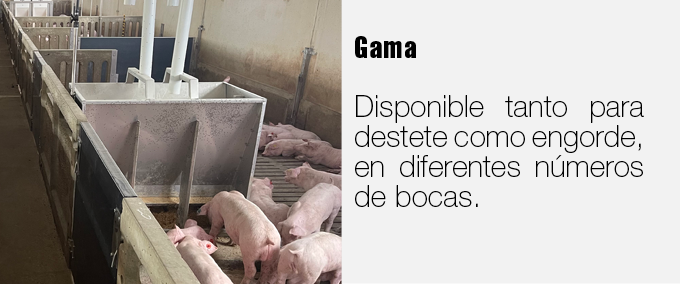 Esta imagen se ha eliminado. Por razones de seguridad, sólo se permiten imágenes de dominio local. Imagen eliminada.