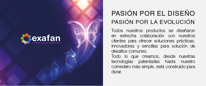 Esta imagen se ha eliminado. Por razones de seguridad, sólo se permiten imágenes de dominio local. Imagen eliminada.